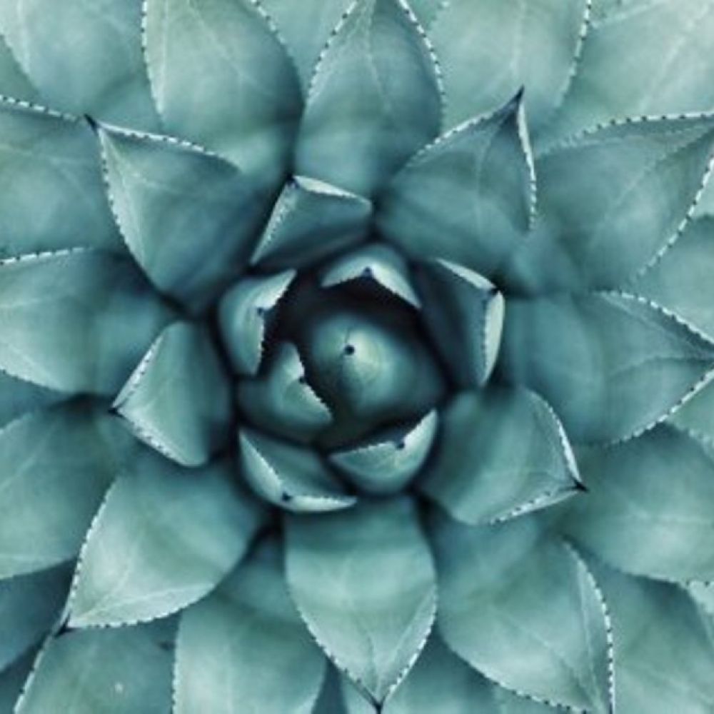 Environmental Sustainability in Health Care